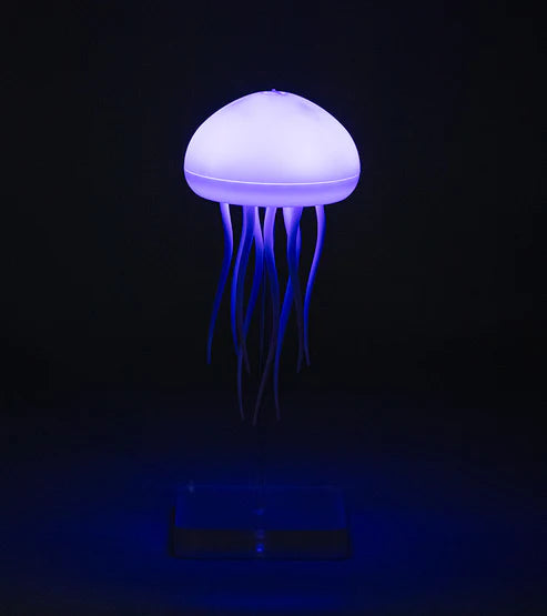 Floating jellyfish