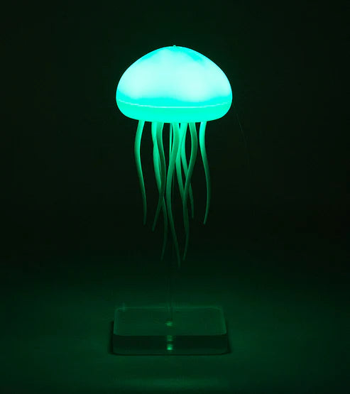 Floating jellyfish