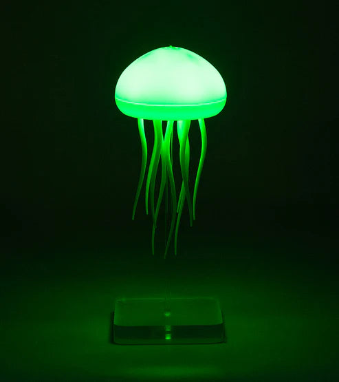 Floating jellyfish